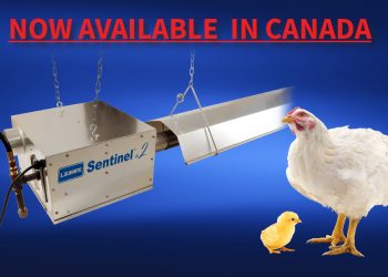 Sentinel v.2 Radiant Tube Heater